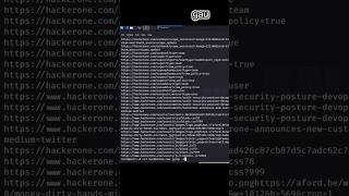 Extract Sensitive Endpoints Using One Command 😱#kalilinux #viral #trending #bugbounty #gau