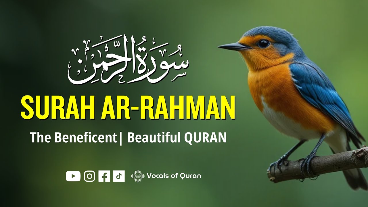 Surah Ar-Rahman (سورة الرحمن) | Peaceful Lofi Quran Recitation for Healing & Calm | Vocal of Quran