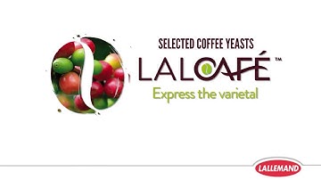 LalCafe™ Coffee Yeast Rehydration & Inoculation Protocol for Wet Coffee Process