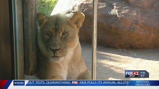 ZOO AND YOU: Topeka Zoo celebrating with animal Easter egg hunts Saturday