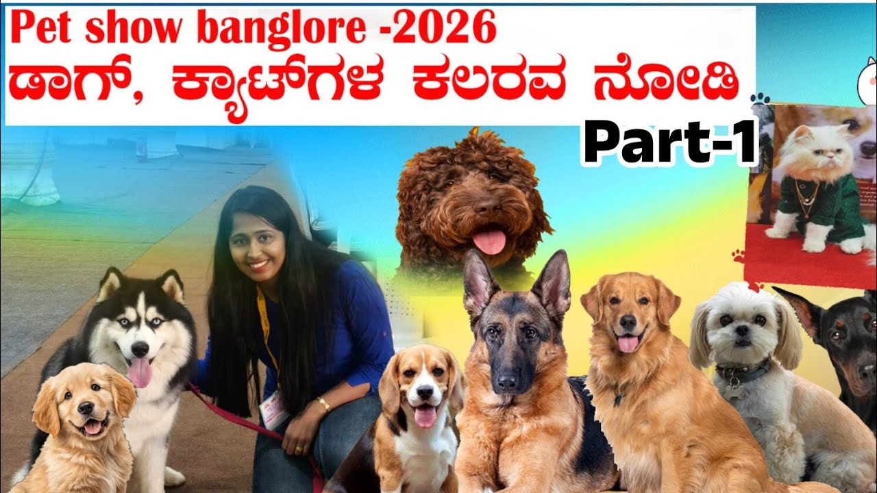 Bangalore Dog Show 2025 | Best Breeds, Training & Fun Moments  ಮನುಷ್ಯರಿಗಿಂತ ಪ್ರಾಣಿಗಳೇ ವಾಸಿ!