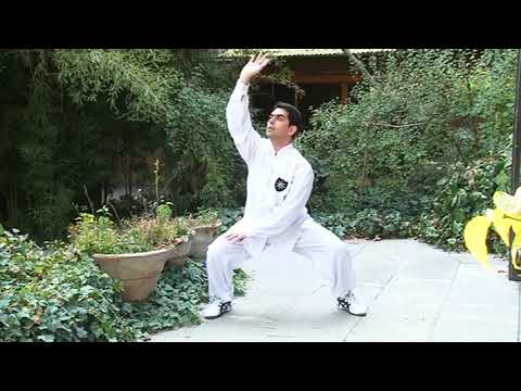 نمونه ای از حرکات درمانی چی کونگ به سوی تندرستی Examples Of Therapeutic Qi Gong Movements