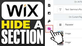 How To Hide A Section On Wix (2025)