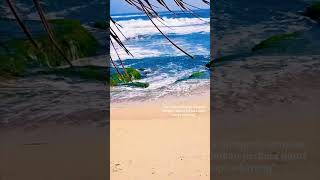 fyppmusiklirikshortvidiotrendingpantai