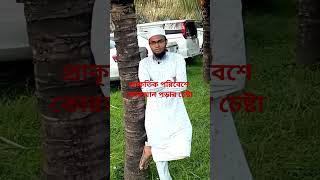 সকালের কোরআন পড়ার মজা আলাদা।#education #quran