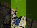 مسكينن انا وايد لعيب انا وايد محترف Fortnite حمان مسكين مسكينن انا وايد لعيب انا وايد محترف Fortnite حمان مسكين