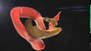Procedural motion design experiment no. 12: Growing things along curves