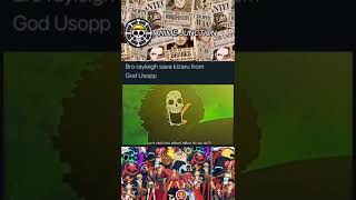 The Day Silver Rayleigh Save Roronoa Zoro