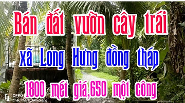 Bán đất vườn dừa xã Long Hưng đồng tháp 1800 mét giá,650 triệu một công LH,0394924311