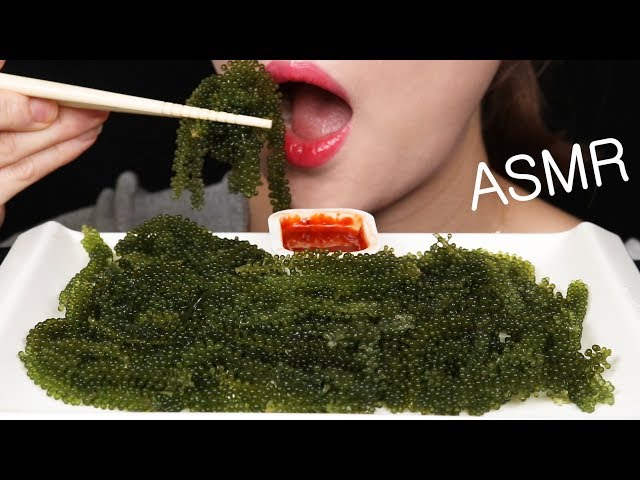 SEAGRAPE 🍇 바다포도 うみブドウ lautanggur ทะเลองุ่น biểnquả nho  EATING ASMR REALSOUNDS MUKBANG (No Talking)