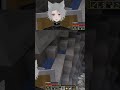 there go my ankles | #reinydew on #Twitch