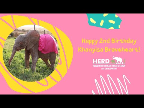 Happy 2nd Birthday Khanyisa Braveheart How Far You Ve Come 