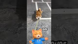 Drama Alert! Shiba Refuses Walk… Gets Face-Planted 😂 #catreaction #funnydog #commentary