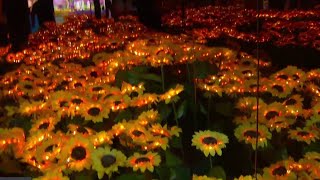 'Never-before-seen light festival' to debut in South Bay