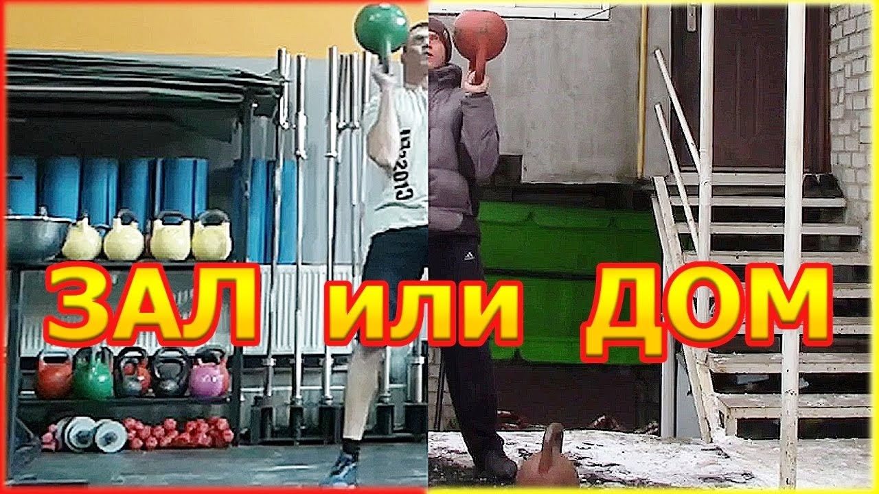 Carnitine Dna ������������: ����.