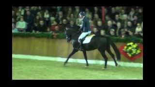 Diarado Von Diamant De Semilly Corrado I