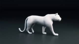PSOFT CharacterBox for MODO / Muscles