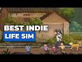 Top 21 Best Life Sim Indie Pixel Art Games