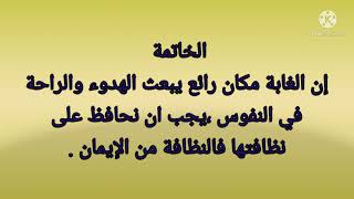 تعبير عن الغابة ( فوائدها + تقديم نصائح للحفاظ عليها + نصائح حول التعبير)للسنة الرابعة ابتدائي