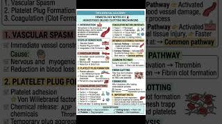 DMLT/BMLT Easy notes #hematology #mlt #labtechnician #dmltlab