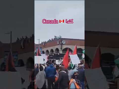 مظاهرات دعما لاخوتنا الفلسطينيين اوتاوا عاصمة كندا   2023 مركز المدينة