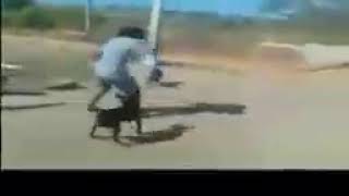 Orang gila vs anjing