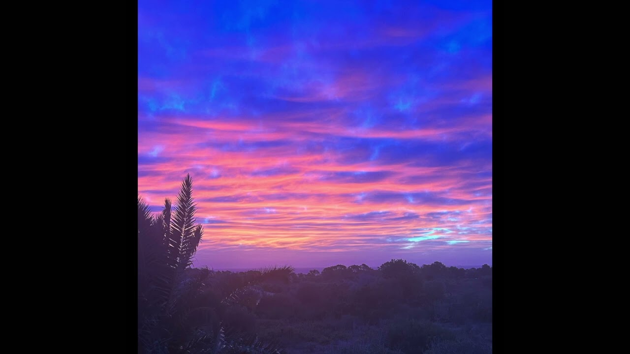 Yoos - Instinct adlı videoyu YouTube'da izle Yoos - Instinct adlı videoyu YouTube'da izle