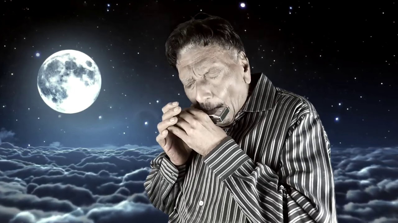 Suhani Raat Dhal Chuki | Indian Harmonica By Ashok Bhandari