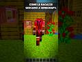 Ragazze vs Ragazzi su Minecraft