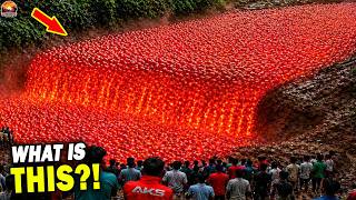 15 Most Unbelievable Nature Moments Caught on Camera!