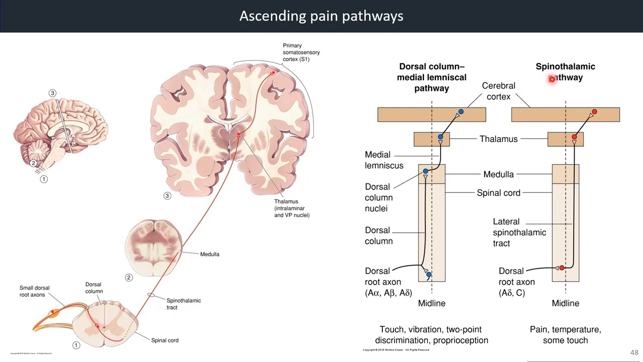 youtube-video-thumbnail