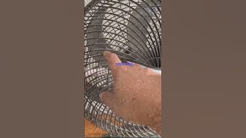 What are some things you