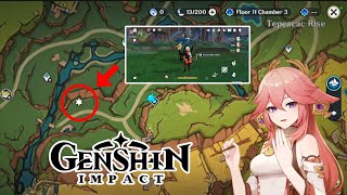 Remarkable Chest | Destroy Anemo Slime's within 60 seconds | Tequemecan Valley [Genshin Impact] 