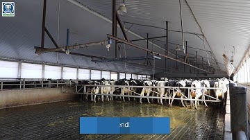 Smart Gate - Madero Dairy Systems