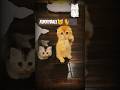 🐾 Cute Kitten Playing Moments | Funny &amp; Adorable Cat Video 😻  #trending #funnycats #trendingshorts