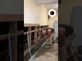 WAM DEMOS - demo edging #edge #concrete #viral #diy #demo #wall #explore #learning #hardwork