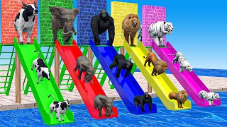 Don’t Break The Wrong Wall with LONG SLIDE Elephant, Cow, Lion, Gorilla, Cat Wild Animals Cage Game