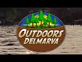 Outdoors Delmarva: Remembering Scorchy Tawes (Part 1)