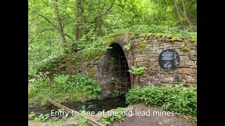 A walk to Allendale from the park
