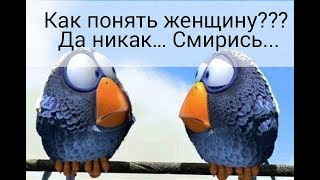 с юмором о наших милых женщинах часть 2 с юмором о наших милых женщинах часть 2