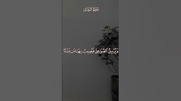 القرآن الكريم | ما تيسر من سورة  الرعد بصوت القارئ ياسر الدوسري|قناة التلغرام بالوصف
