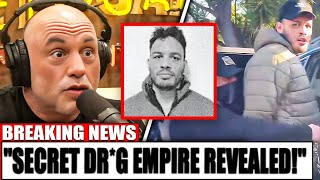 The true reason for Julio Cesar Chavez Jr s shocking arrest is revealed by Joe Rogan