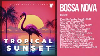 Tropical Sunset 🦩 [Bossa Nova]