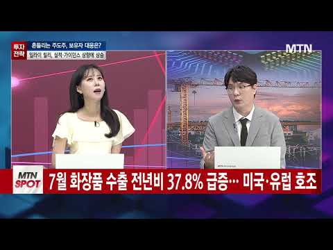 [오후의 쟁점] 흔들리는 주도주, 보유자 대응은? / 머니투데이방송 (증시, 증권)