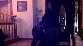 VID-20101125-00011