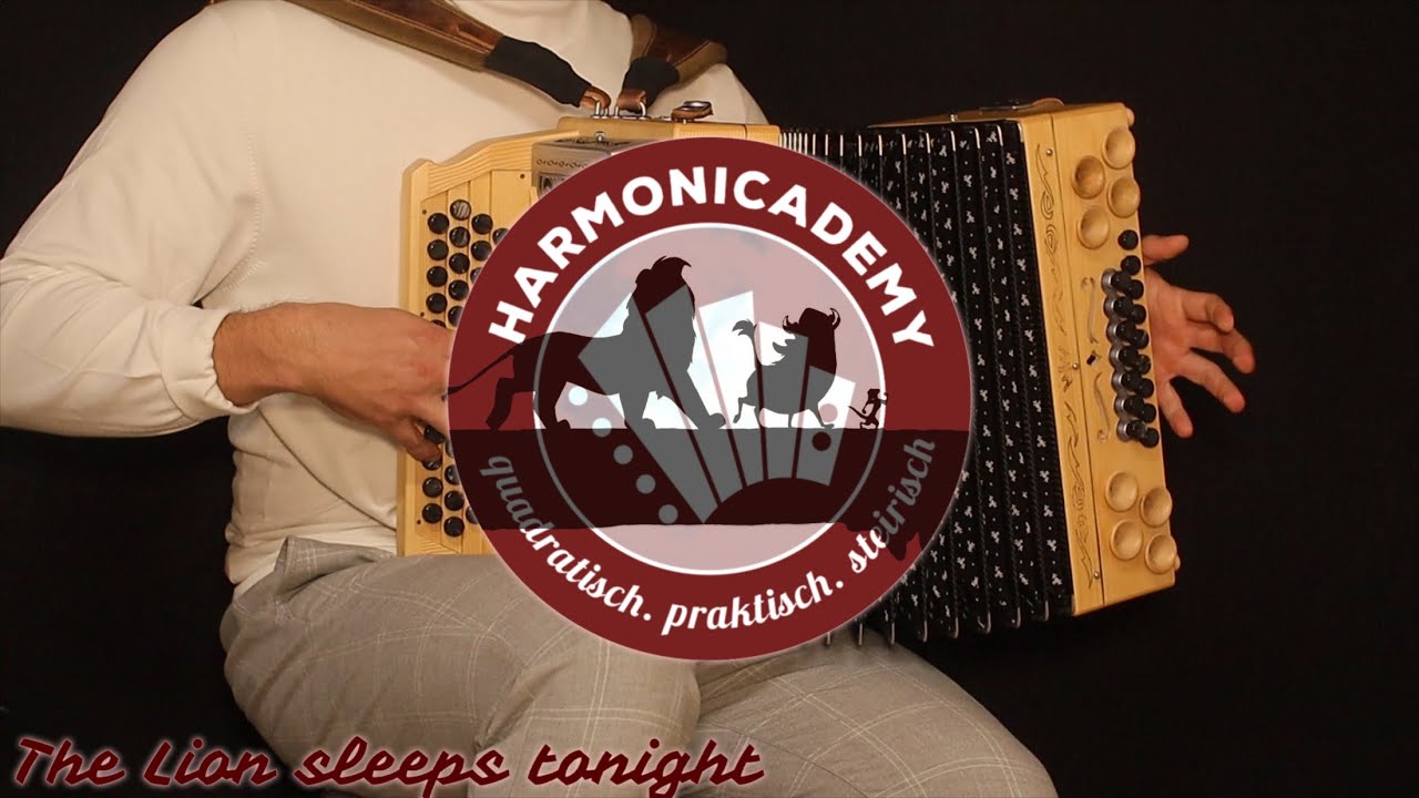 The Lion Sleeps Tonight - Harmonicademy 