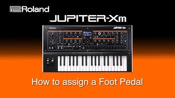 Roland Jupiter-Xm - How to assign a Foot Pedal