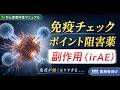 免疫関連有害事象（irAE）：免疫が強くなりすぎる副作用
