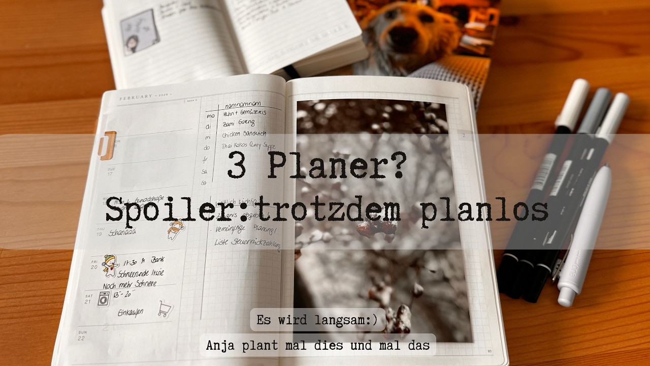 3 Planer und mehrere To-Do Listen : mehr so not gedoot 🫠 - Voll verplant 8