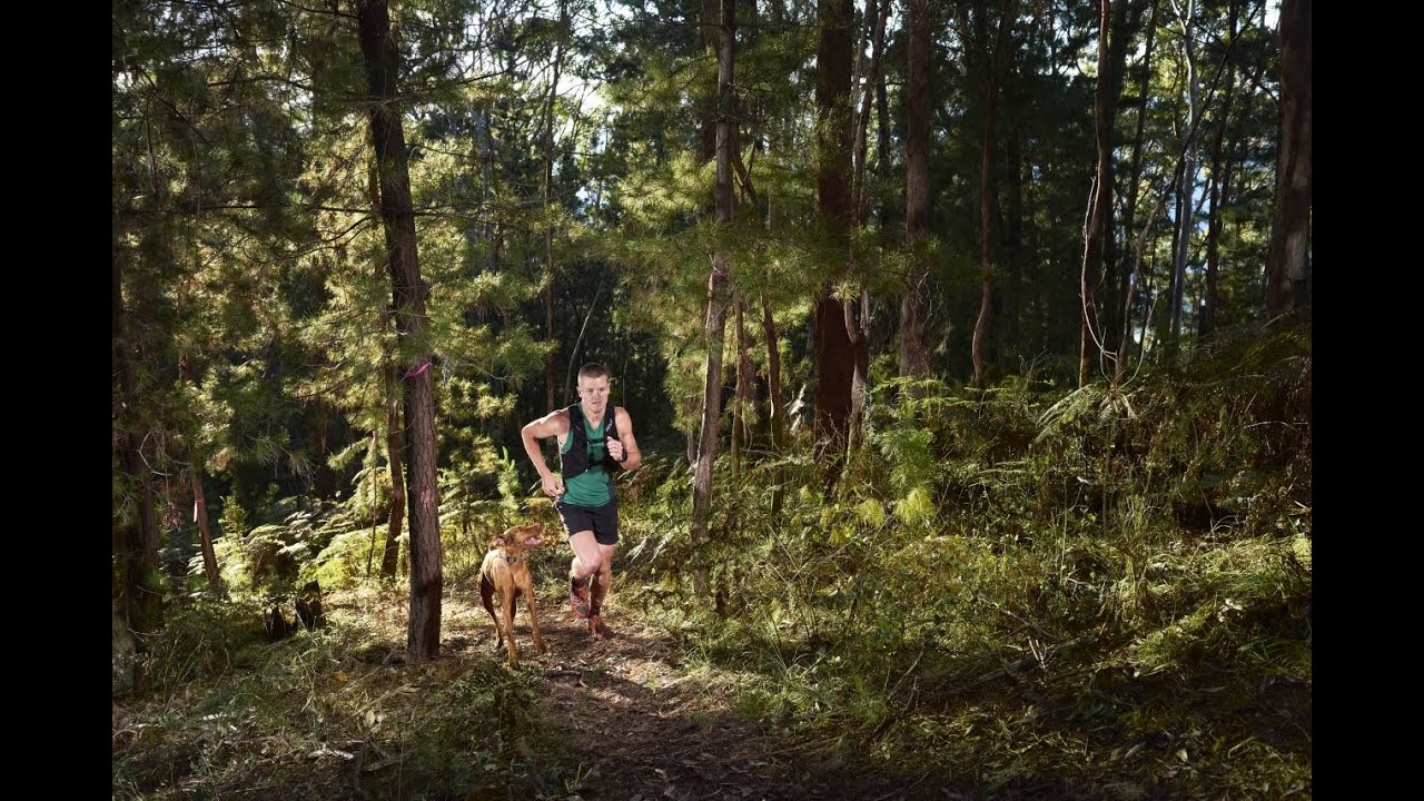 Trail Running in Bright and Surrounds, North East, Victoria